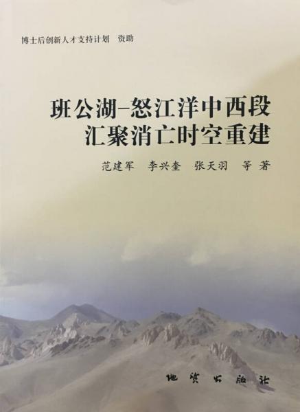 班公湖-怒江洋中西段汇聚消亡时空重建