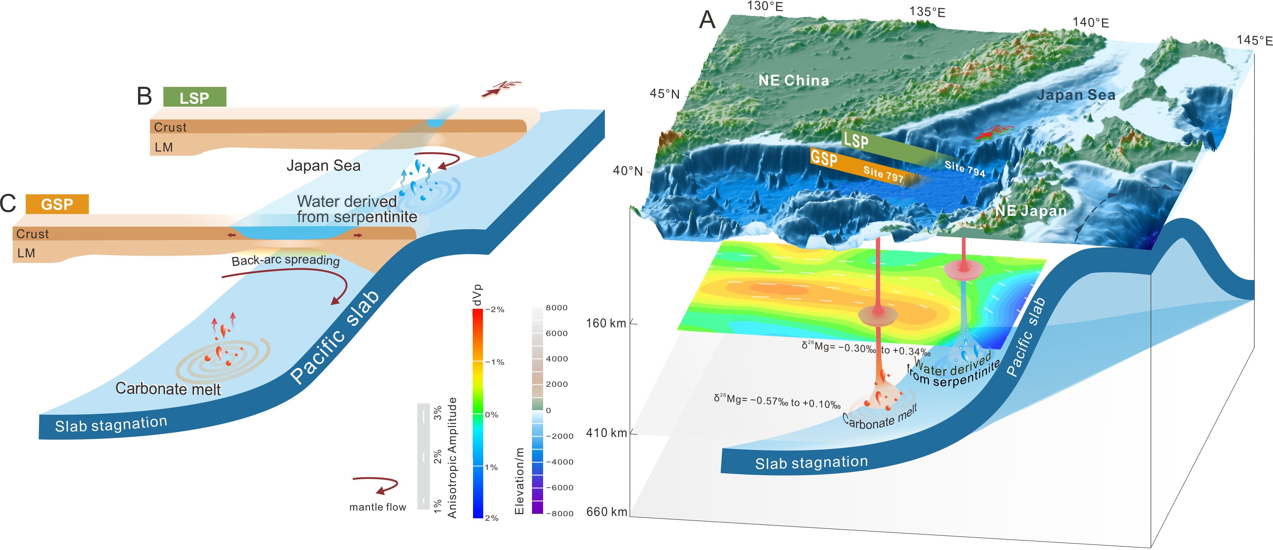 许文良教授团队Geology—俯冲挥发分循环的空间差异是驱动“非对称弧后扩张”的潜在动力学因素